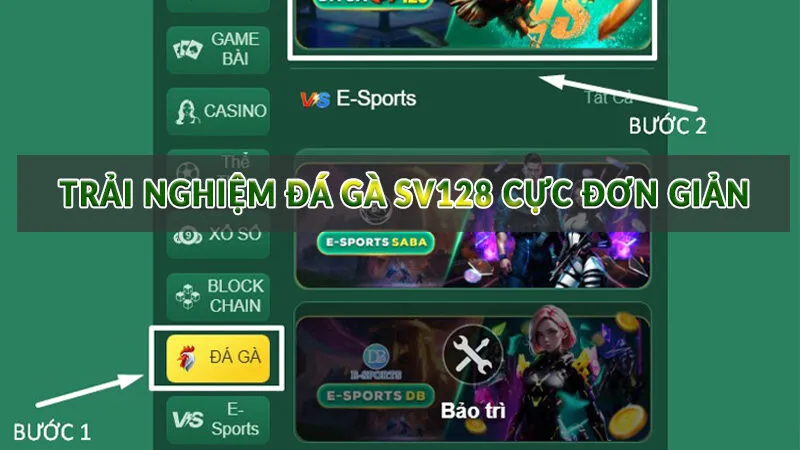 Đá Gà HB88 - Không gian cá cược đẳng cấp nhất 3 Trải nghiệm Đá Gà SV128 cực đơn giản