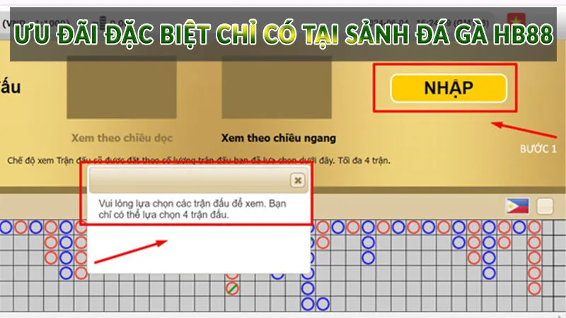Đá Gà HB88 - Không gian cá cược đẳng cấp nhất 4 Ưu đãi đặc biệt chỉ có tại sảnh Đá Gà HB88